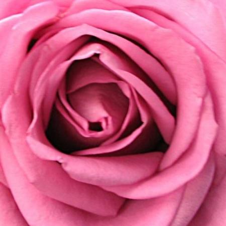 fleure